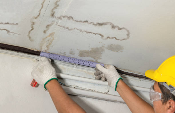 Affordable Water Damage Repair solutions in Maury, NC